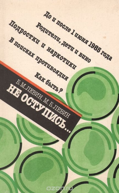 Не оступись... - Борис Левин, Михаил Левин