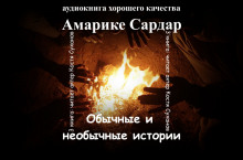 Обычные и необычные истории - Амарике Сардар