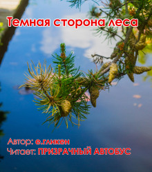 Темная сторона леса - Автор неизвестен