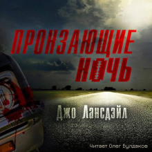Пронзающие ночь - Джо Р. Лансдейл