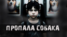 Пропала собака! - Александр Радченко