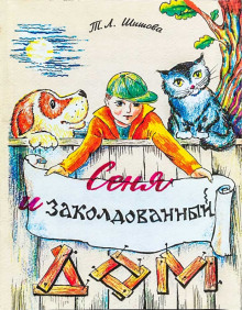 Сеня в волшебном доме - Татьяна Шишова