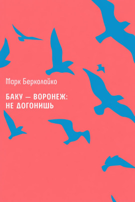 Баку – Воронеж: не догонишь - Марк Берколайко